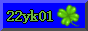 Tiny website button
