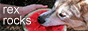 Tiny website button