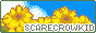 Tiny website button