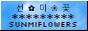 Tiny website button