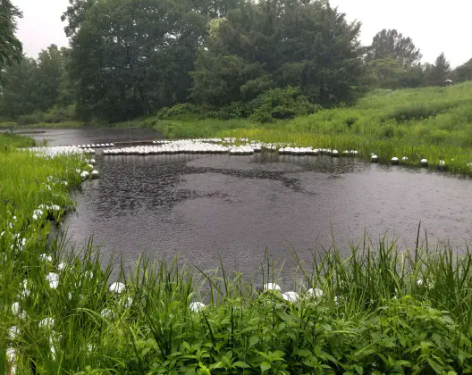 A lake. It's lightly raining. It looks gray outside. The lake is full of metal balls.