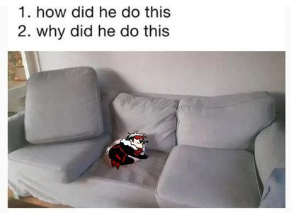 Cole as a cat asleep under a couch cushion.