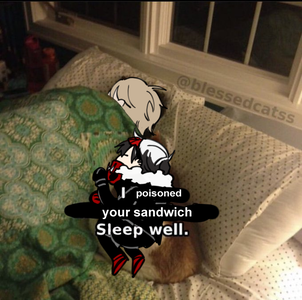 Picture that says 'I poisoned your sandwich. Goodnight.' overlaid on Cole sleeping next to Hunter as a cat.
